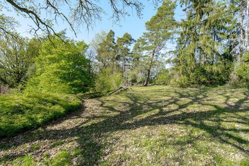 obere Gartenfläche - 