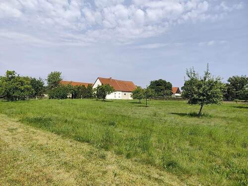 große Wiese - 3 Zimmer Einfamilienhaus zum Kaufen in Rothenburg