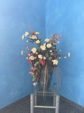 IMG_6784.jpeg - 