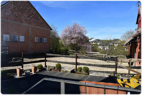 Bild2 - 1 Zimmer Einfamilienhaus zum Kaufen in Waldeck