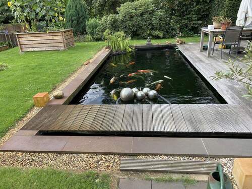 Gartenteich - 
