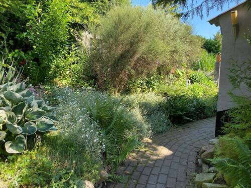 Weg ums Haus - 