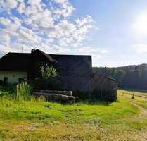 Idylle pur! Bauernhaus sucht Handwerker! - Hohenau Weidhütte