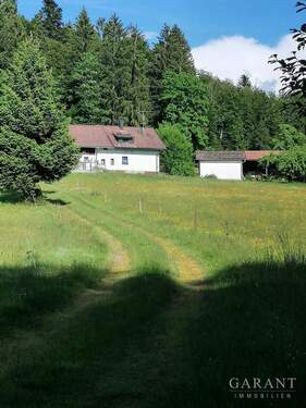 Weg zw. Haus und Weiher - 5 Zimmer Bauernhaus, Landhaus zum Kaufen in Hohenau