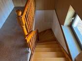 IMG_8384.jpeg - 