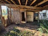 IMG_8286.jpeg - 