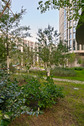 Garten im Innenhof - 