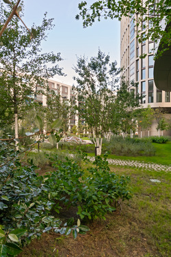 Garten im Innenhof - 