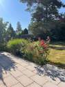 Terrasse und Garten - 