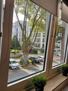 Bild 15 - 