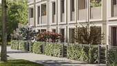 Gartenanlage - 