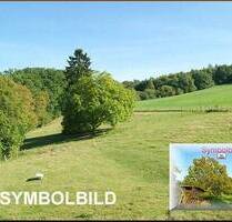 Ein Landgasthof in Niedersachsen, lässt mit Catering den Umsatz wachsen! - Stade