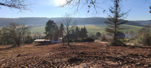 Bild 2 - Grundstück zum Kaufen in Neuhemsbach