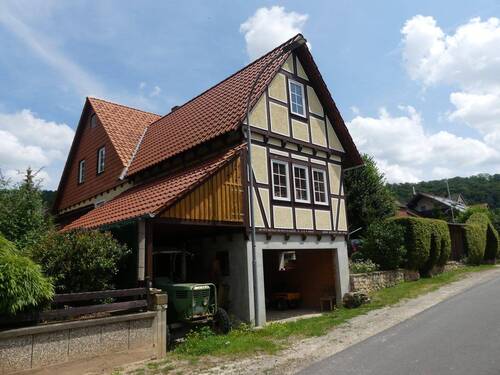 Ansicht linke Seite mit Unterstand - 