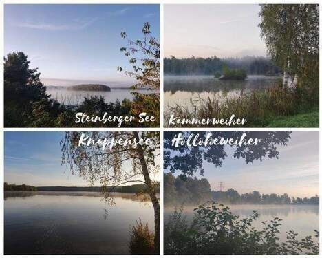 Oberpfälzer Seenland - 5 Zimmer Doppelhaushälfte zum Kaufen in Schwandorf