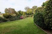 Blick in den Garten - 