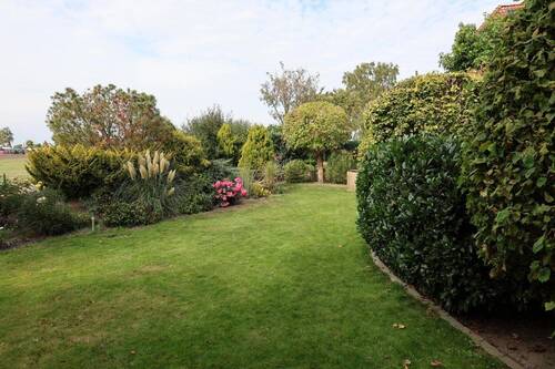 Blick in den Garten - 