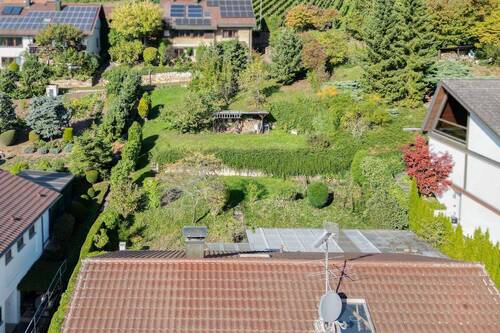 Garten Rückseite - 