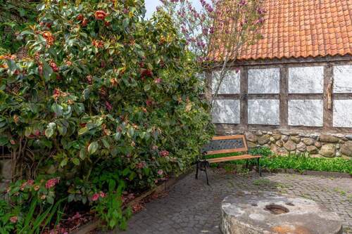 Pergola - 
