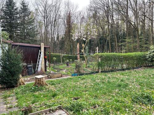 Grundstück - Grundstück zum Kaufen in Chemnitz