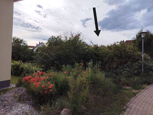 Garten - 
