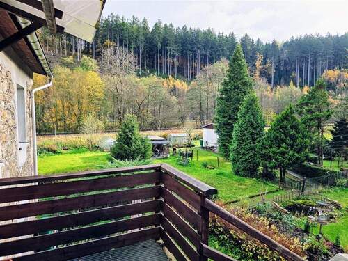 Blick in den Garten - 