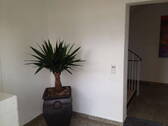 Eingang - 