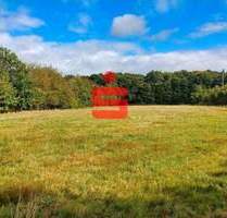 Attraktive Baugrundstücke in Ortsrandlage - Herforst