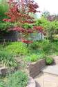 Garten IV.JPG - 