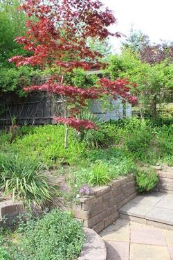 Garten IV.JPG - 