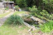 Teich.JPG - 