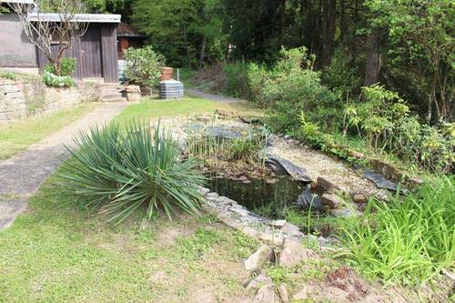 Teich.JPG - 