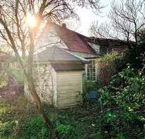 Sehlingen! Großartige Doppelhaushälfte auf spektakulärem Grundstück! - Kirchlinteln