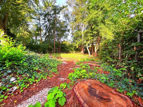 Blick in den Garten - Grundstück zum Kaufen in Hamburg