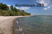 Strandspaziergang - 