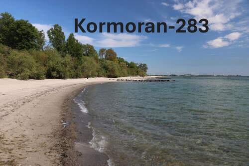 Strandspaziergang - 