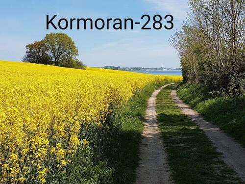Immer was Neues zu entdecken - 
