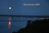 Vollmond über Lübecker Bucht - 