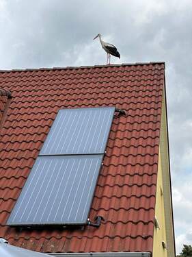 Solaranlage - 