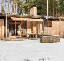 Rückzugsort mitten im Grünen - charmantes Ferienhaus auf traumhaftem Waldgrundstück in Stüde - Sassenburg