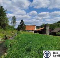 Historische Hofstelle mit arrondierten land-, forst- und teichwirtschaftlichen Flächen im LKR Nürnberger Land - Happurg Mosenhof