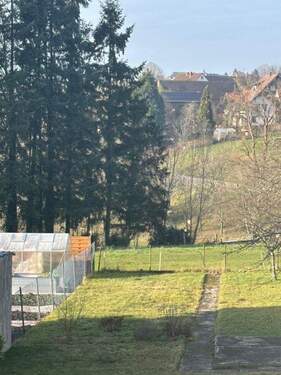 Wunderschöner Blick vorne - 