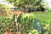 großer Garten - 