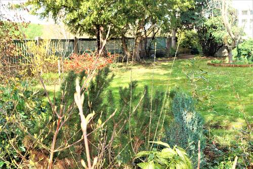 großer Garten - 