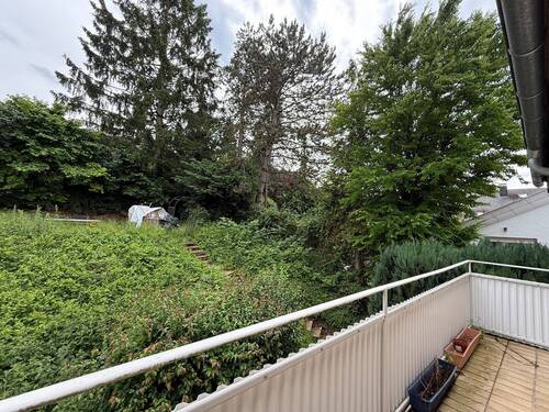 Blick Richtung Grillstelle - 
