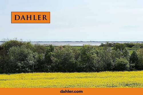 Weitblick bis nach Amrum (Mühle) - 
