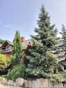 Westseite - 