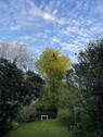 Garten Impression - 