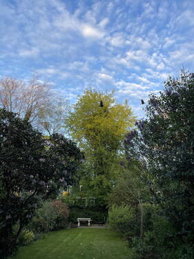 Garten Impression - 