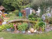 Gartenteich - 